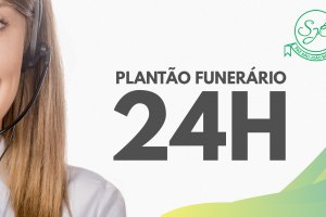 arte plantao